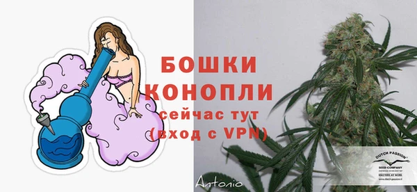 гидра Белокуриха