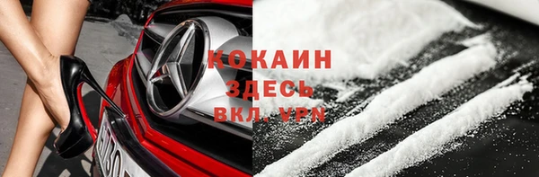 гидра Белокуриха