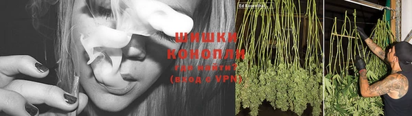 гидра Белокуриха