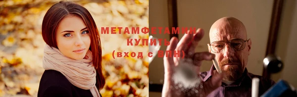 гидра Белокуриха