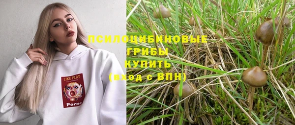 гидра Белокуриха