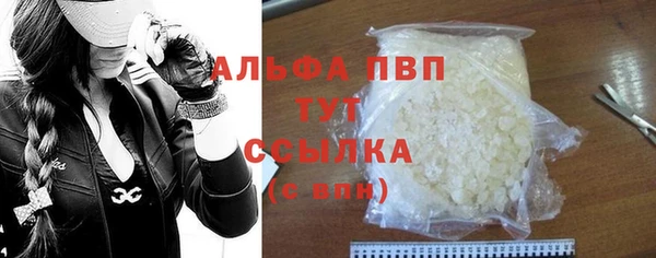 гидра Белокуриха